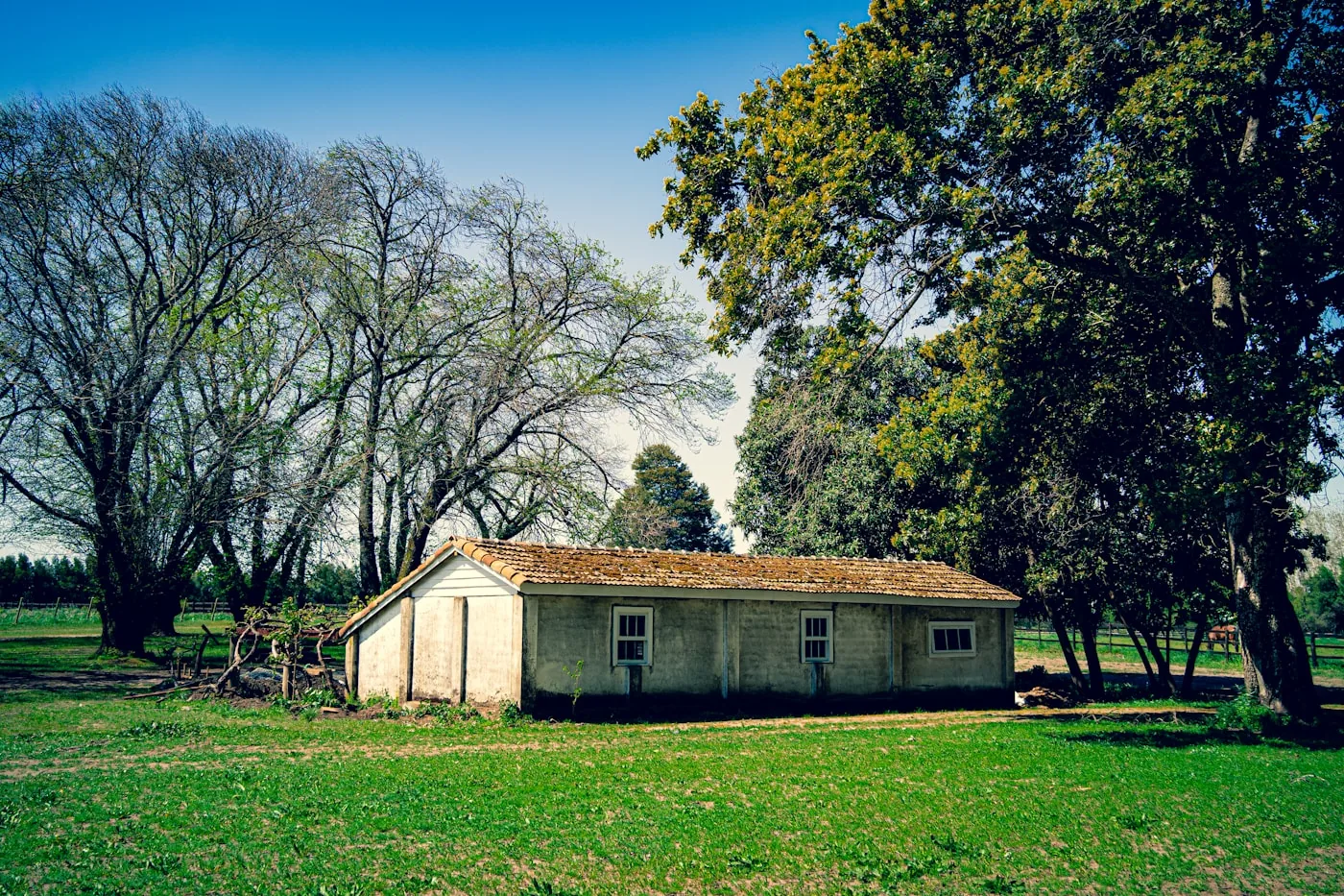 Renovated country house under a bright sky
